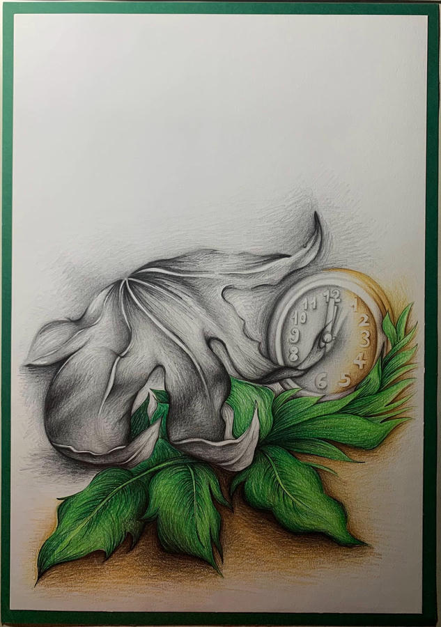 Tempo e Natura